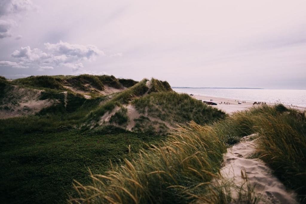 Bilferie i Danmark? Få inspiration til 5 unikke naturoplevelser